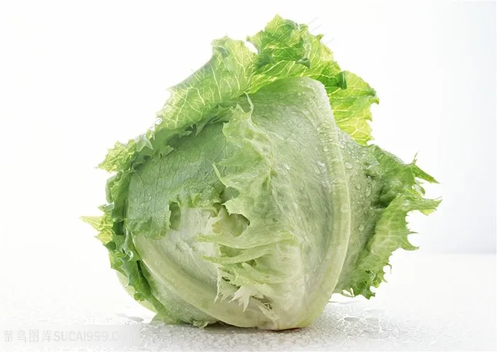 唯美新鲜的蔬菜卷心菜蔬菜图片