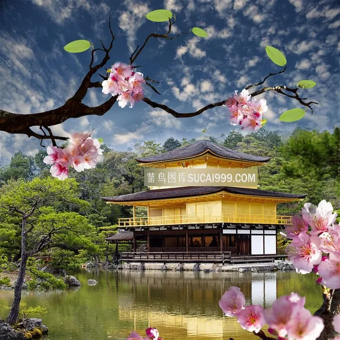 日本樱花建筑风景图片