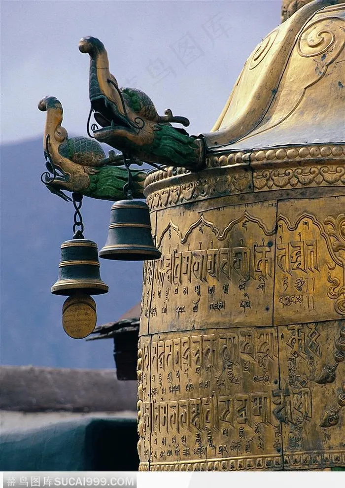 西藏人文风光-金钟的特写
