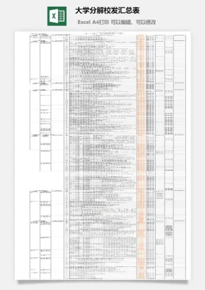 大学分解校发汇总表excel模板预览图