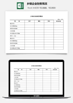 乡镇企业财务情况excel模板预览图
