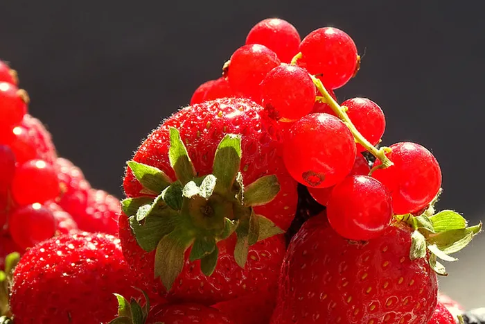 草莓 水果 红色素材 (18)