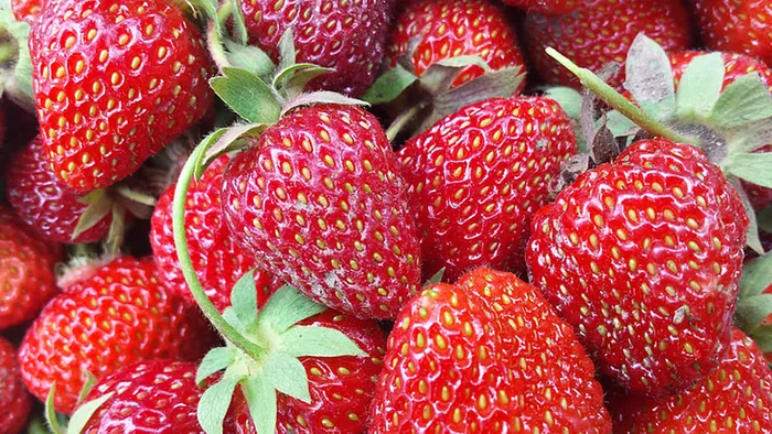 草莓 水果 红色素材 (6)