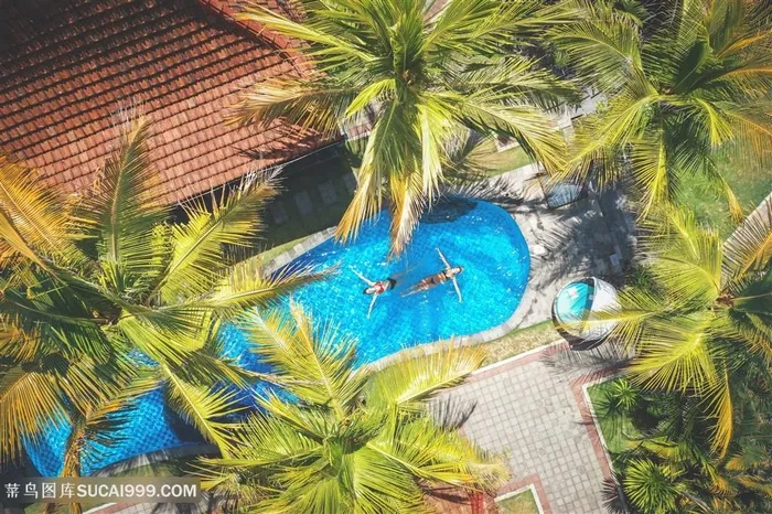 俯视度假区游泳池图片