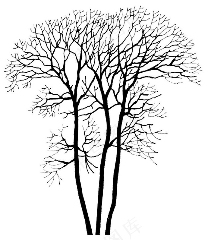 枯树画法简单 简笔画图片