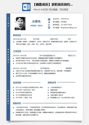 【销售简历】求职简历简约简历个性简历预览图