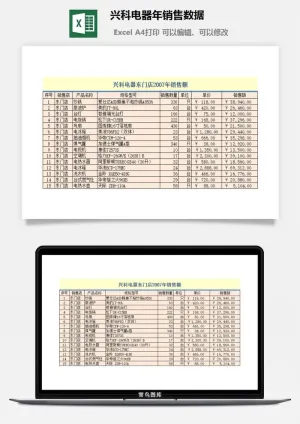 兴科电器年销售数据excel模板预览图