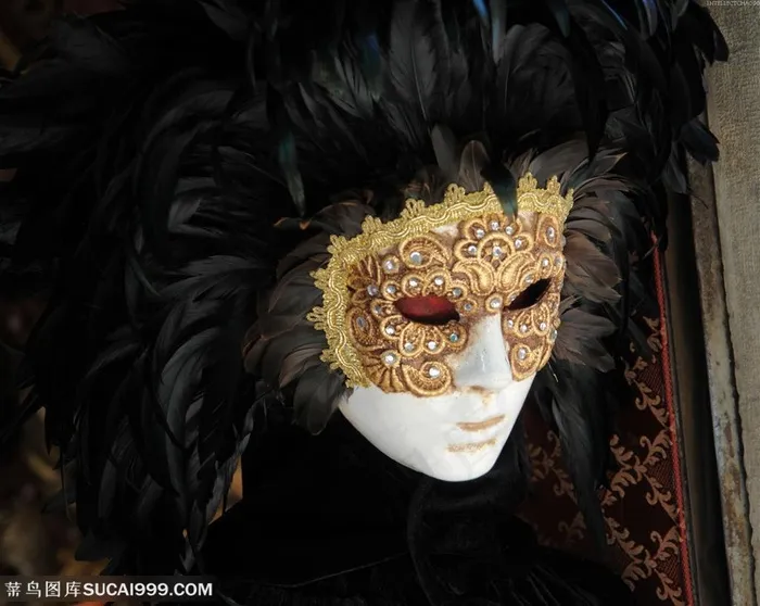 奇异面具-戴着绣花黑羽毛面具的男人