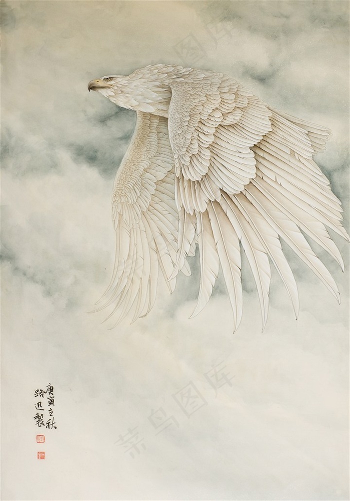 纵横天宇老鹰工笔画 - 菜鸟图库