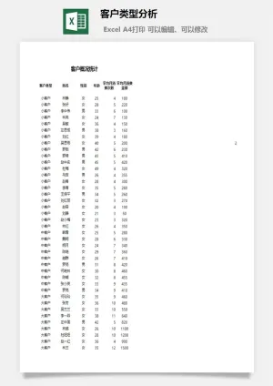 客户类型分析excel模板预览图