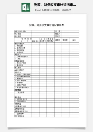 财政、财务收支审计情况审核表excel模板预览图