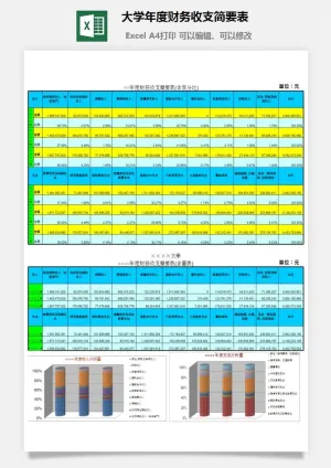 大学年度财务收支简要表excel模板预览图