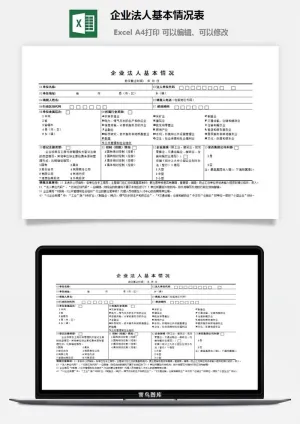 企业法人基本情况表excel模板预览图