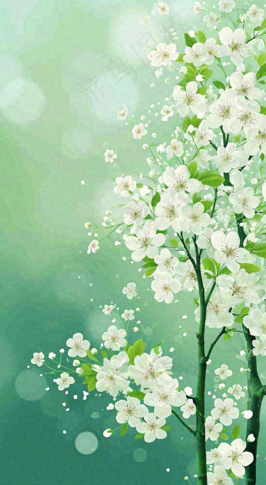 春天枝头上开满花朵，春分摄影图