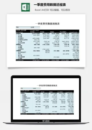 一季度费用数据透视表excel模板预览图