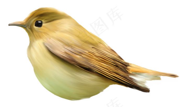 作品名称为免抠小鸟 ,素材编号是2591928, 						是一张格式为:png