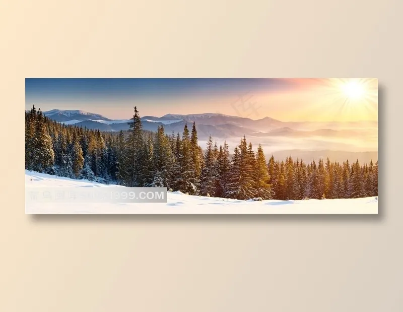 森林冬日风景图片