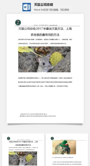 灭鼠公司总结word模板预览图