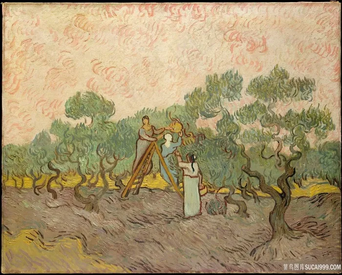 梵高-- 妇女采摘橄榄油画