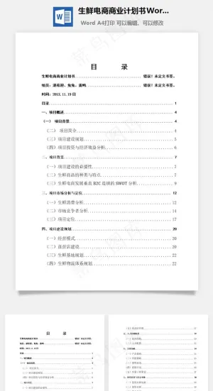 生鲜电商商业计划书Word文档预览图