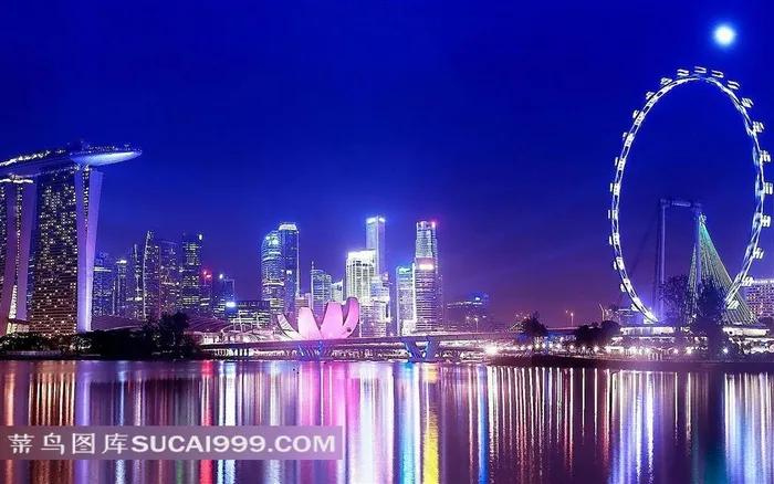 新加坡摩天观景轮都市夜景