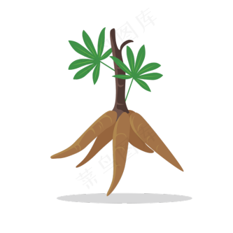 手绘草本中药药材