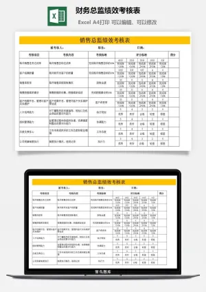 财务总监绩效考核表预览图