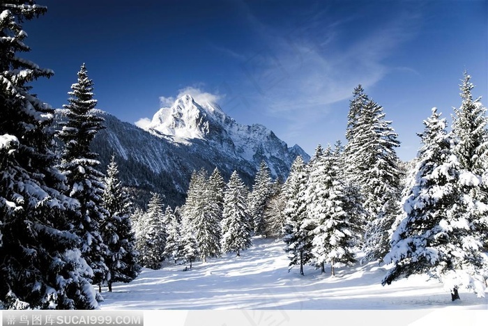 超美雪景高清电脑壁纸素材 菜鸟图库