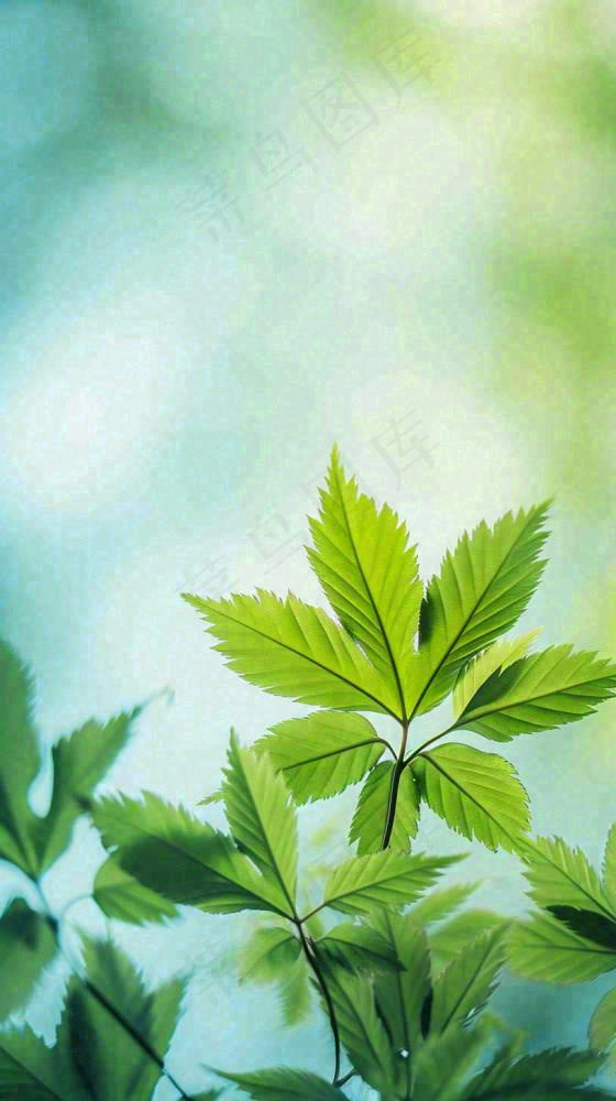 阳光明媚春天春意盎然嫩草，发芽，春分，立春摄影图