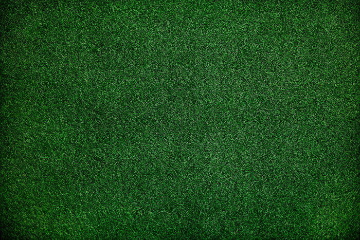 纯绿色全屏 草坪图片