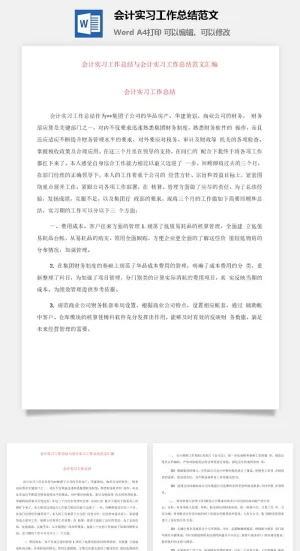会计实习工作总结范文word模板预览图