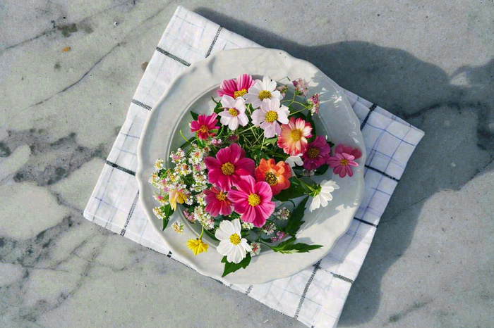 鲜花彩色花朵碟子摆盘简约摄影图