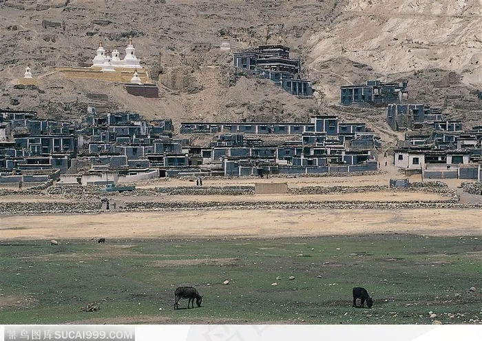 西藏人文风景-成片的房屋