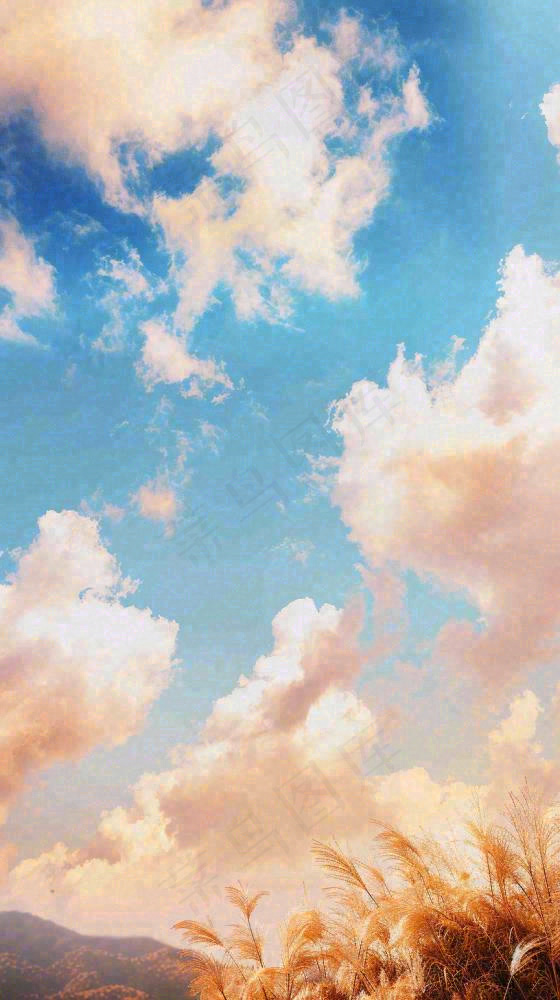 秋天蓝天户外芦苇草，立秋秋分摄影图