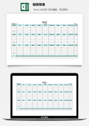 融资报表excel模板预览图