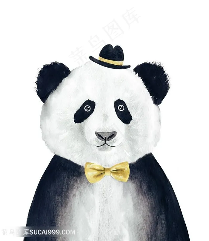 熊猫先生手绘插画手绘插画