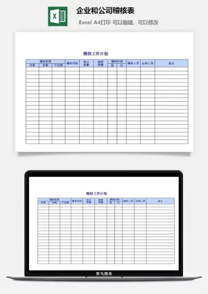 企业和公司稽核表excel模板预览图