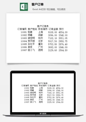 客户订单excel模板预览图