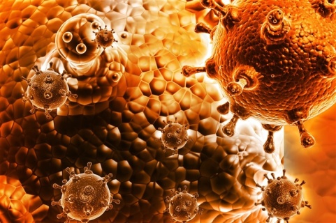 新冠病毒传染防范措施图片