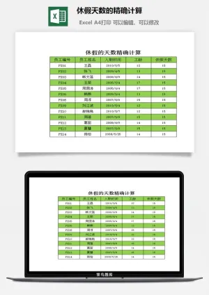 休假天数的精确计算excel模板预览图