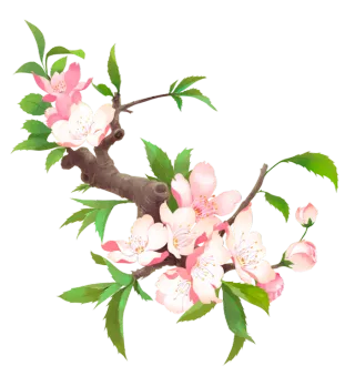 免抠春天桃花树枝素材 