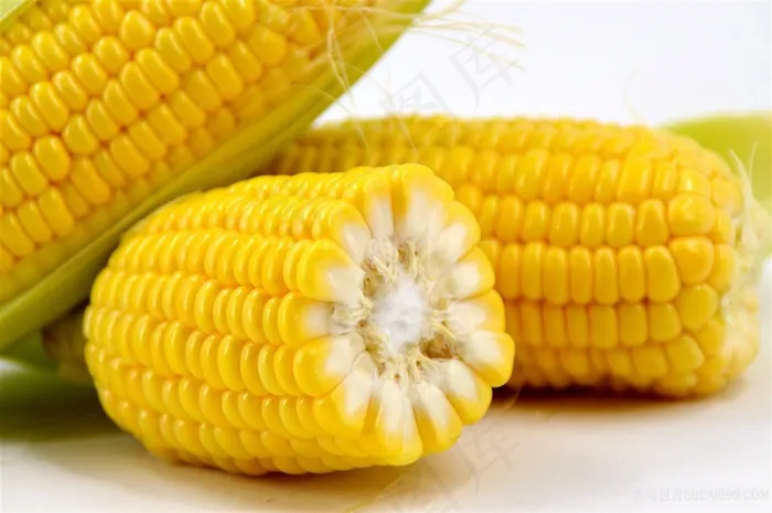 新鲜玉米图片