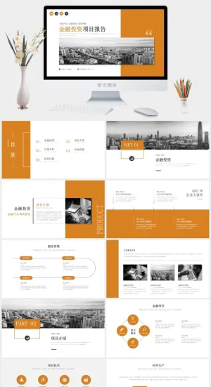 商务风金融投资项目报告工作汇报PPT预览图