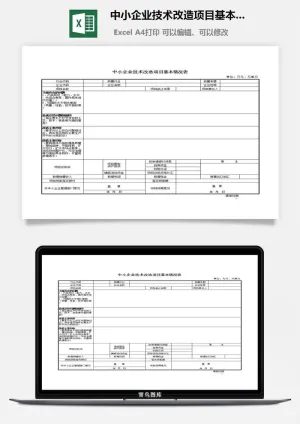 中小企业技术改造项目基本情况表excel模板预览图
