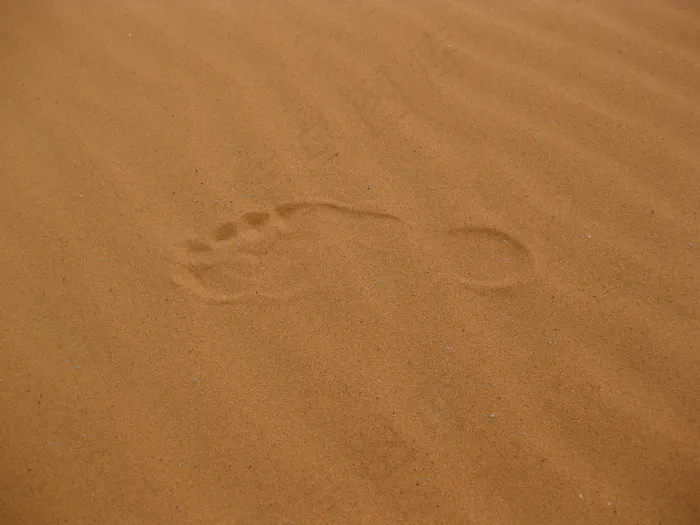 沙漠脚印图片