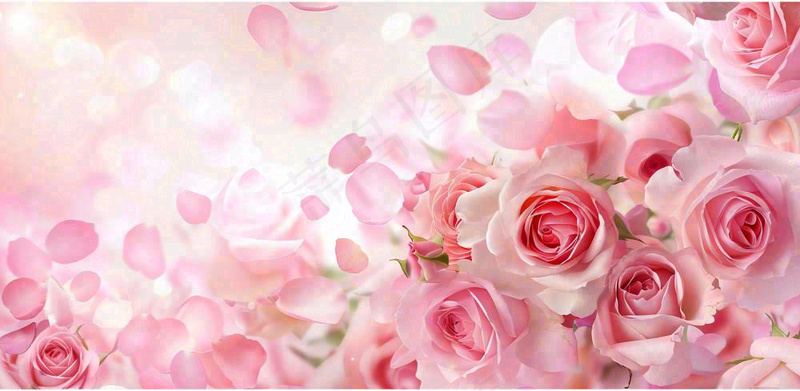 粉红背景上的玫瑰花美丽浪漫梦幻爱情情人节七夕摄影图
