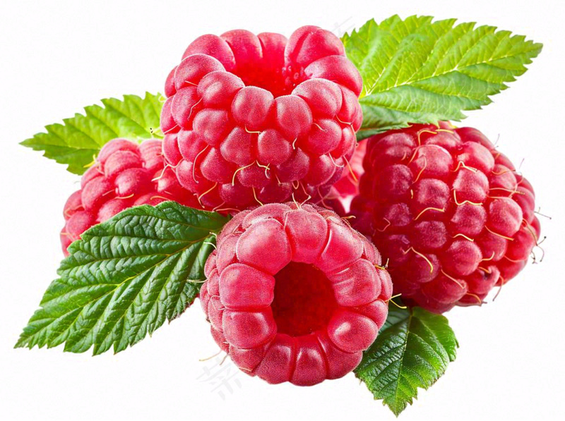 树莓水果摄影图免抠