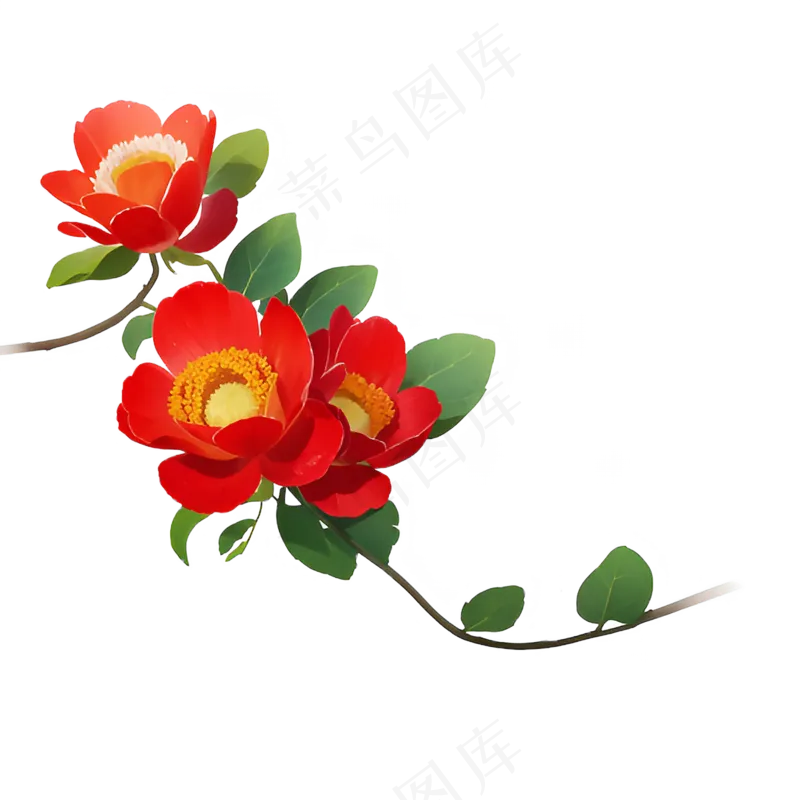 红色 海棠花 手绘 免抠 素材24