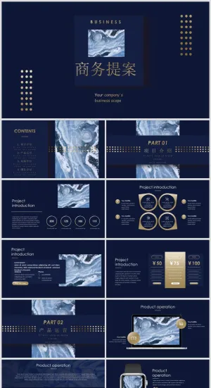 PPT模板丨黑金、藏蓝色系丨工作总结丨述职报告029预览图