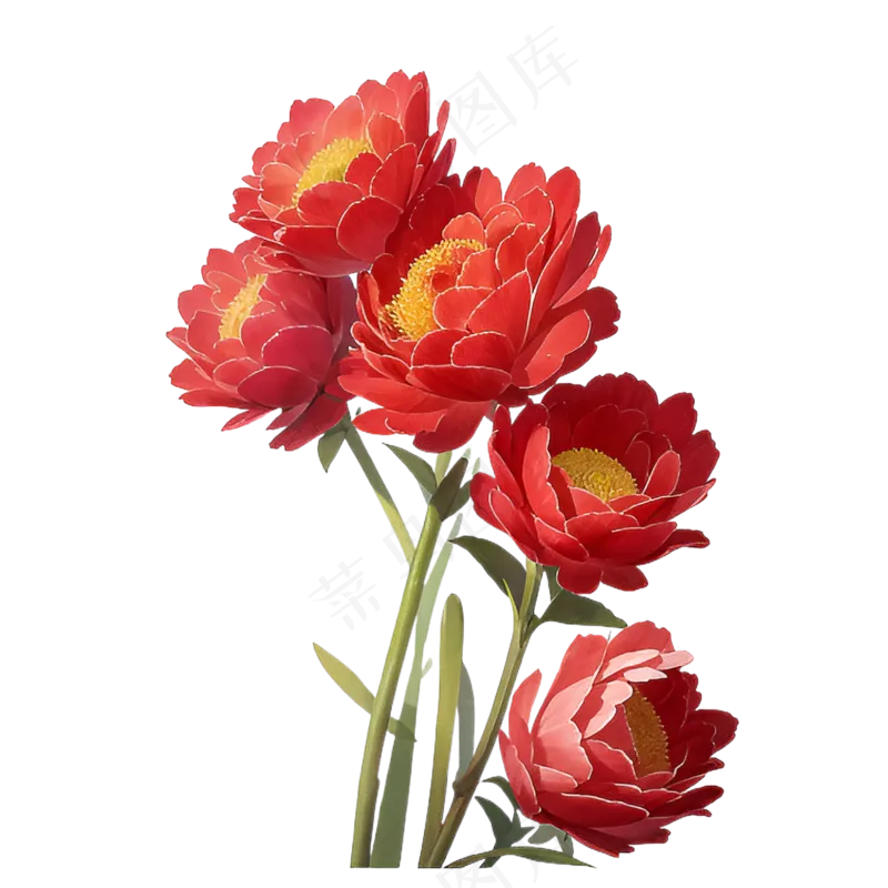 红色海棠花写实手绘练习作品1